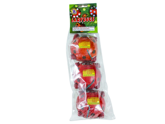 LADYBUG GROUND SPINNERS 60-1