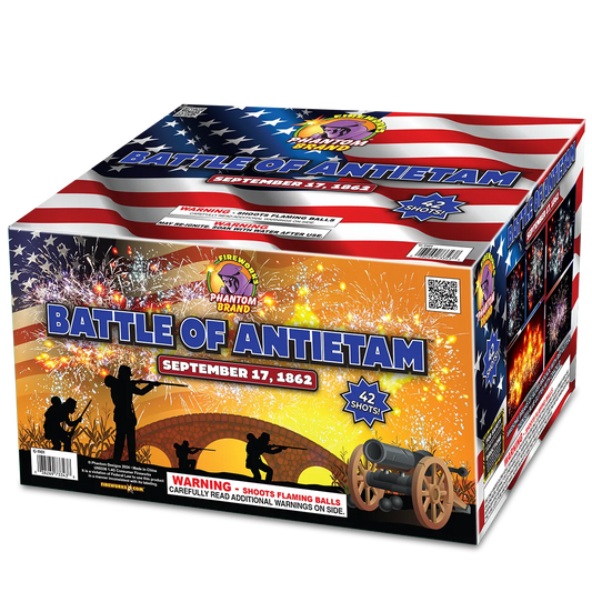 Battle Of Antietam, 42 Shot