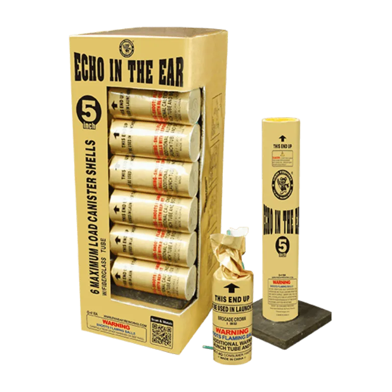 Echo in the Ear 5