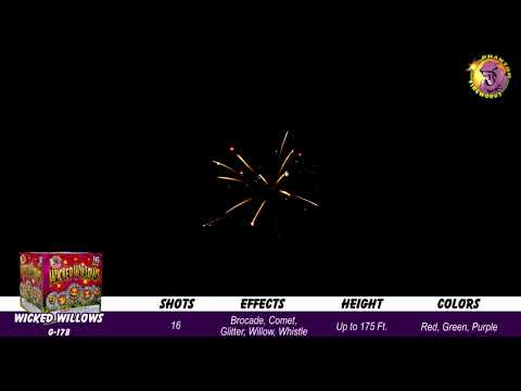 Preview video of Wicked Willows, 16 Shot