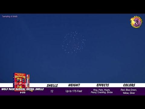 Preview video of Radical Recoil Shells, 12 shells