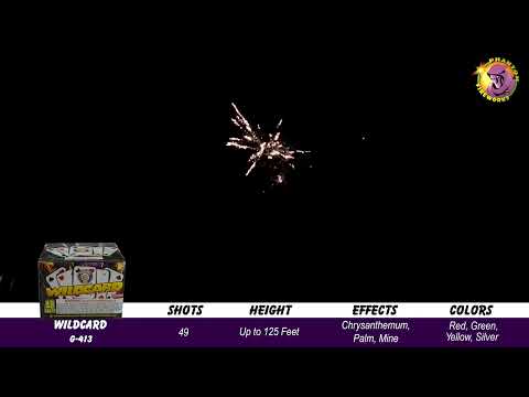Preview video of Wildcard, 49 Shot