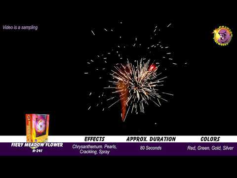 Preview video of Fiery Meadow Flower Fountain