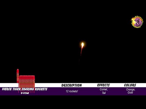 Preview video of Fierce Tiger Soaring Rockets