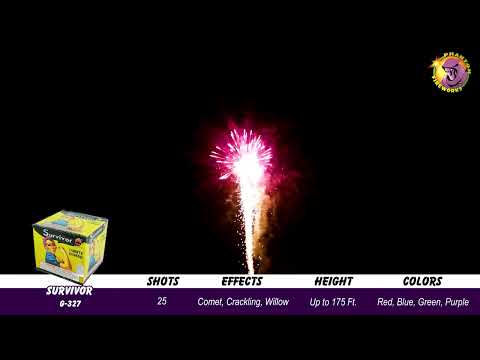 Preview video of Survivor, 25 Shot
