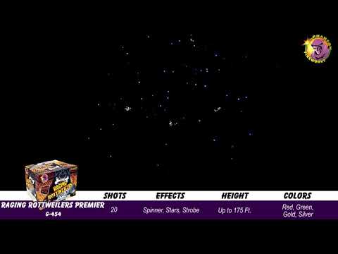 Preview video of Raging Rottweilers Premier, 20 shot