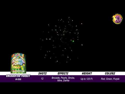 Preview video of Enchanted Forest, 9 Shot