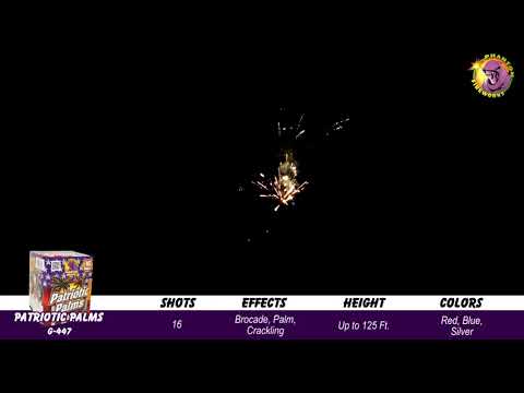 Preview video of Patriotic Palms, 16 Shot