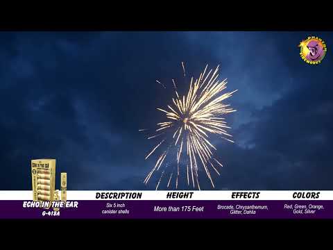 Preview video of Echo in the Ear 5