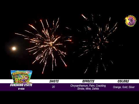 Preview video of Sunshine State, 20 Shot