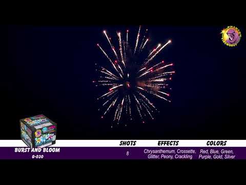 Preview video of Burst & Bloom, 8 Shot