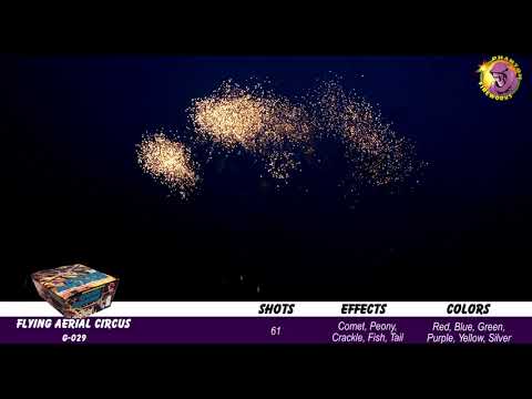 Preview video of Flying Aerial Circus, 61 Shot
