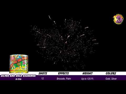 Preview video of Silver & Gold Exchange, 12 Shot