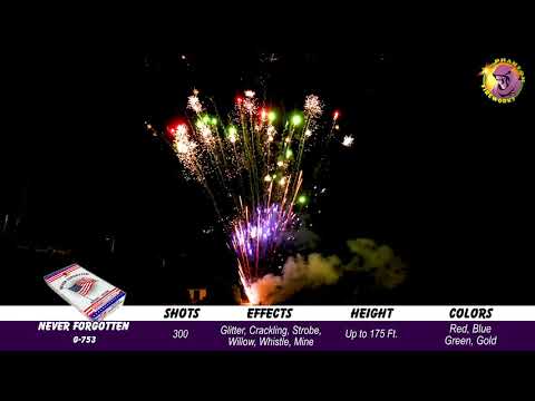Preview video of Never Forgotten, 300 shot