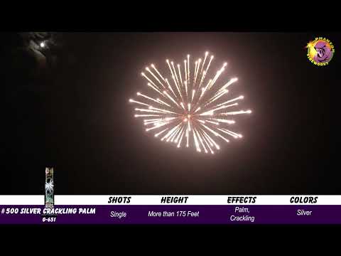  Preview video of #500 Silver Crackling Palm