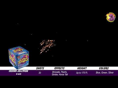 Preview video of Crown Jellyfish