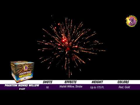 Preview video of Phantom Nishiki Willow