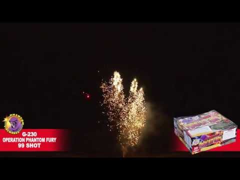 Preview video of Operation Phantom Fury, 99 Shot