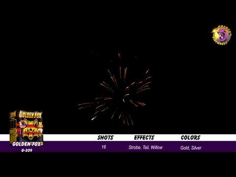 Preview video of Golden Fox, 16 Shot