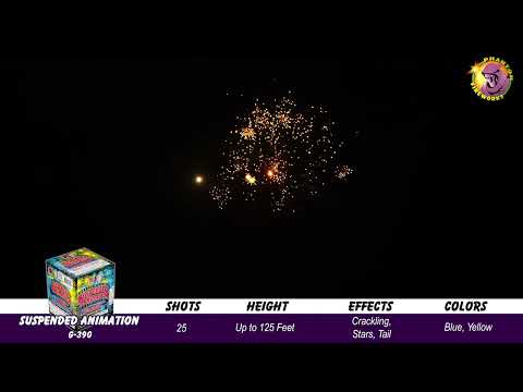 Preview video of Suspended Animation, 25 Shot