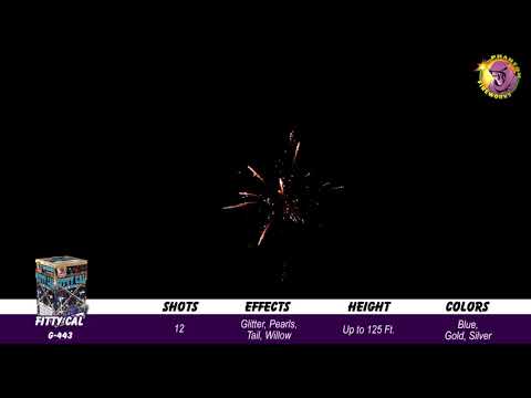 Preview video of Fitty-Cal, 12 Shot