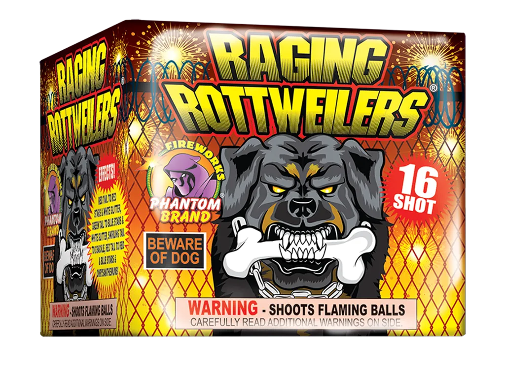 Raging Rottweilers, 16 Shot